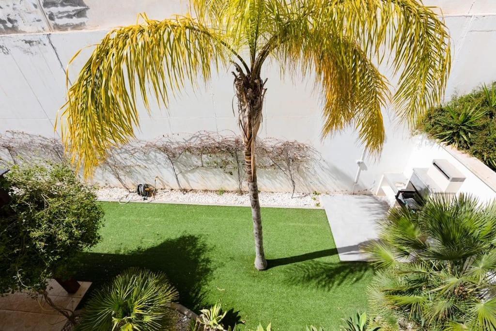 Villa Joya II San Jose  Εξωτερικό φωτογραφία